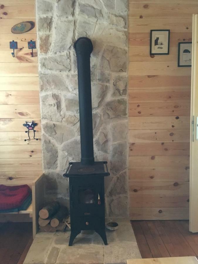 Cozy Cabin Žabljak Екстериор снимка