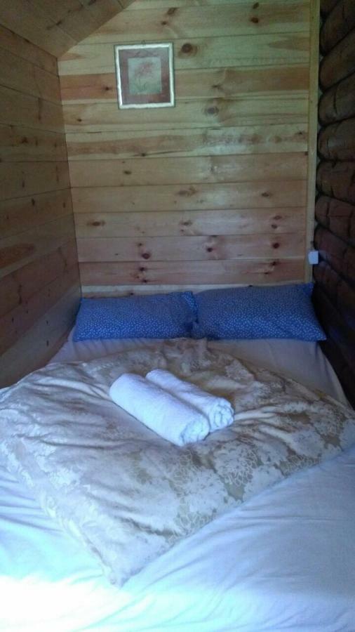 Cozy Cabin Žabljak Екстериор снимка