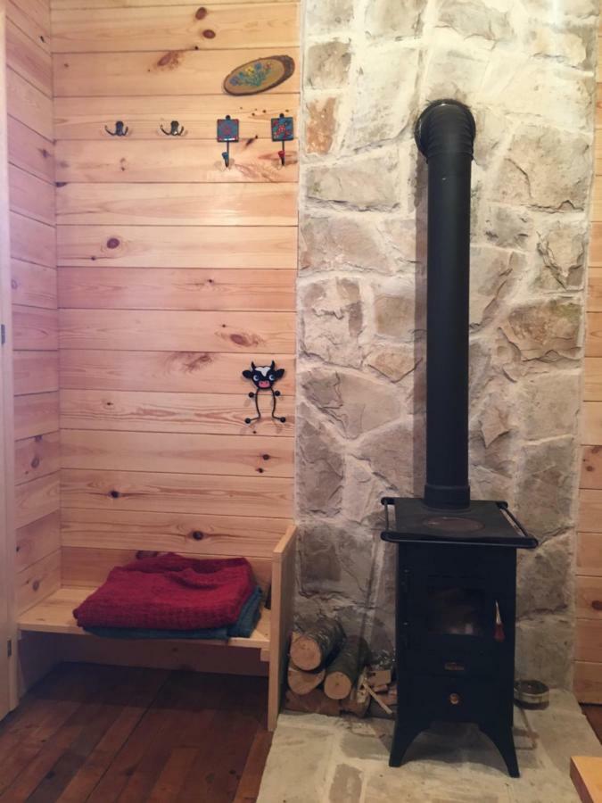 Cozy Cabin Žabljak Екстериор снимка